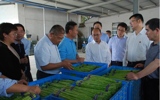 1495444737752023.jpg 2017520202114320.jpg